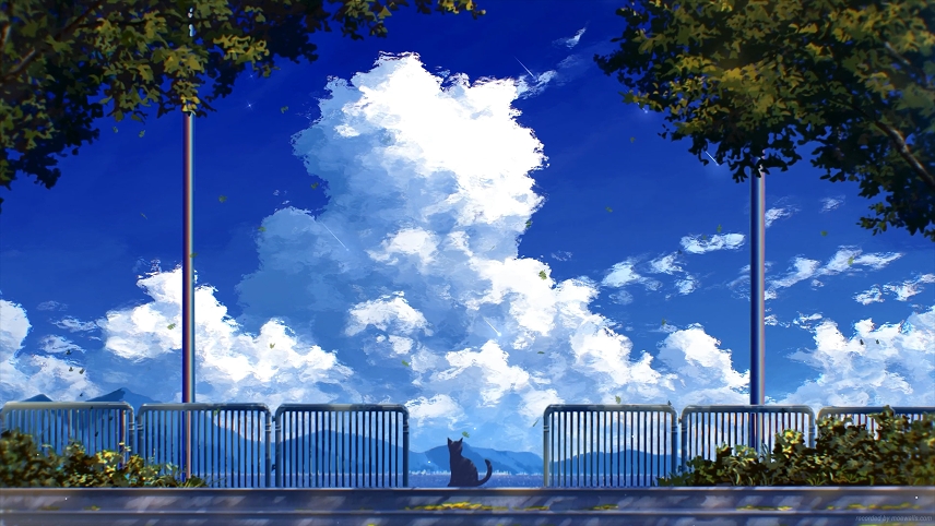 黑猫 多云天空 动态壁纸